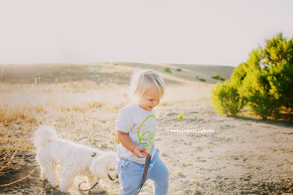 orange county family photographer